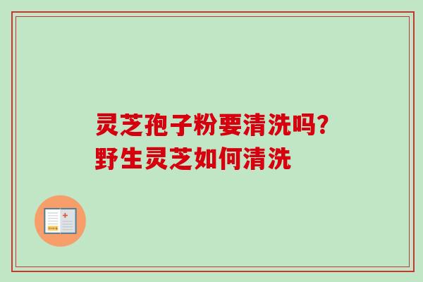 灵芝孢子粉要清洗吗？野生灵芝如何清洗