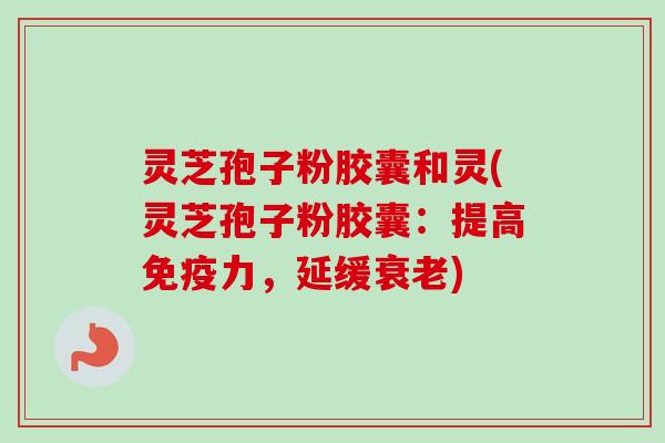 灵芝孢子粉胶囊和灵(灵芝孢子粉胶囊:提高免疫力,延缓) 灵芝孢子粉胶囊和灵(灵芝孢子粉胶囊:提高免疫力,延缓)