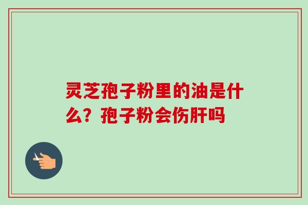 灵芝孢子粉里的油是什么?孢子粉会伤吗 灵芝孢子粉里的油是什么?孢子粉会伤吗