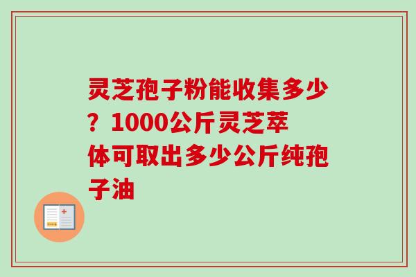 灵芝孢子粉能收集多少?1000公斤灵芝萃体可取出多少公斤纯孢子油 灵芝孢子粉能收集多少?1000公斤灵芝萃体可取出多少公斤纯孢子油