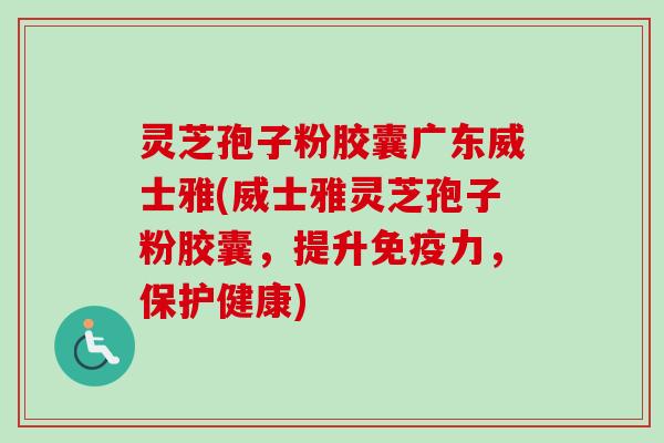 灵芝孢子粉胶囊广东威士雅(威士雅灵芝孢子粉胶囊,提升免疫力,保护健康) 灵芝孢子粉胶囊广东威士雅(威士雅灵芝孢子粉胶囊,提升免疫力,保护健康)