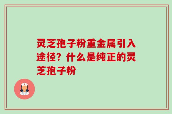 灵芝孢子粉重金属引入途径？什么是纯正的灵芝孢子粉