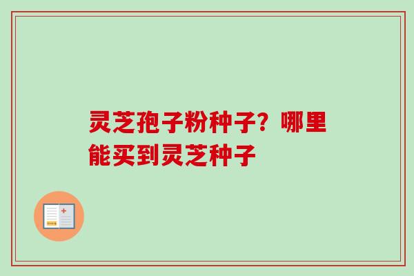 灵芝孢子粉种子?哪里能买到灵芝种子 灵芝孢子粉种子?哪里能买到灵芝种子