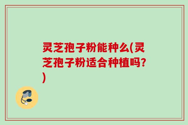灵芝孢子粉能种么(灵芝孢子粉适合种植吗?) 灵芝孢子粉能种么(灵芝孢子粉适合种植吗?)