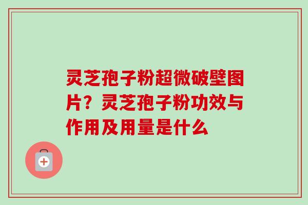 灵芝孢子粉超微破壁图片?灵芝孢子粉功效与作用及用量是什么 灵芝孢子粉超微破壁图片?灵芝孢子粉功效与作用及用量是什么