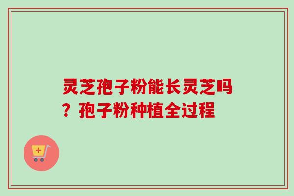 灵芝孢子粉能长灵芝吗?孢子粉种植全过程 灵芝孢子粉能长灵芝吗?孢子粉种植全过程