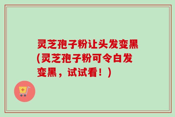 灵芝孢子粉让头发变黑(灵芝孢子粉可令白发变黑,试试看!) 灵芝孢子粉让头发变黑(灵芝孢子粉可令白发变黑,试试看!)