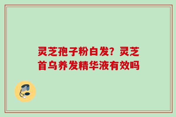 灵芝孢子粉白发?灵芝首乌养发精华液有效吗 灵芝孢子粉白发?灵芝首乌养发精华液有效吗