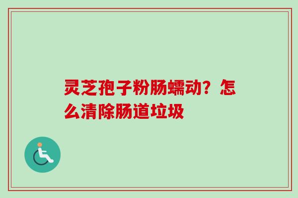 灵芝孢子粉肠蠕动?怎么清除肠道垃圾 灵芝孢子粉肠蠕动?怎么清除肠道垃圾