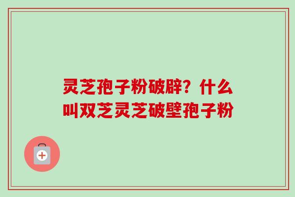 灵芝孢子粉破辟?什么叫双芝灵芝破壁孢子粉 灵芝孢子粉破辟?什么叫双芝灵芝破壁孢子粉