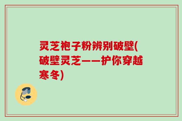 灵芝袍子粉辨别破壁(破壁灵芝——护你穿越寒冬) 灵芝袍子粉辨别破壁(破壁灵芝——护你穿越寒冬)