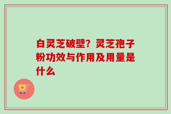 白灵芝破壁?灵芝孢子粉功效与作用及用量是什么 白灵芝破壁?灵芝孢子粉功效与作用及用量是什么