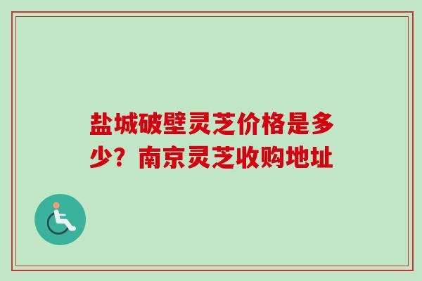 盐城破壁灵芝价格是多少?南京灵芝收购地址 盐城破壁灵芝价格是多少?南京灵芝收购地址