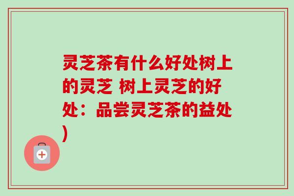 灵芝茶有什么好处树上的灵芝 树上灵芝的好处:品尝灵芝茶的益处) 灵芝茶有什么好处树上的灵芝 树上灵芝的好处:品尝灵芝茶的益处)