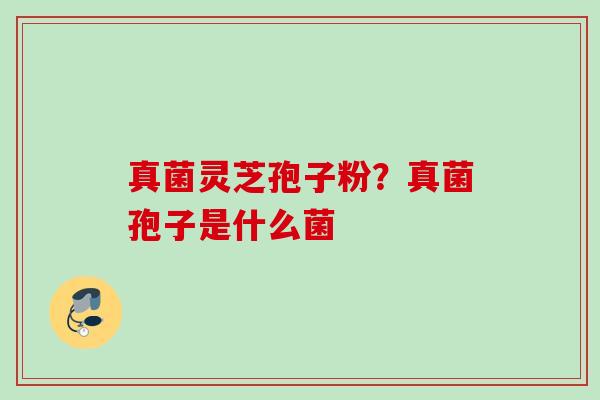 真菌灵芝孢子粉?真菌孢子是什么菌 真菌灵芝孢子粉?真菌孢子是什么菌