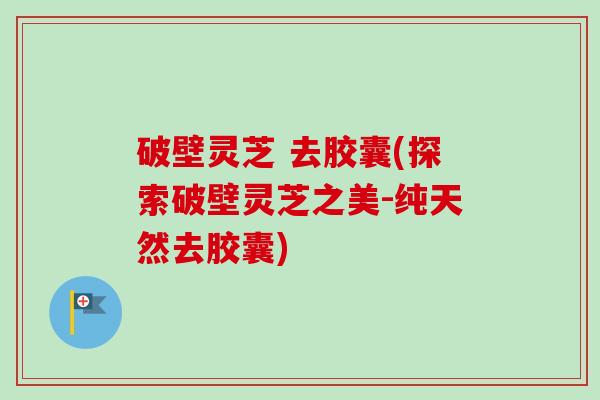破壁灵芝 去胶囊(探索破壁灵芝之美-纯天然去胶囊) 破壁灵芝 去胶囊(探索破壁灵芝之美-纯天然去胶囊)