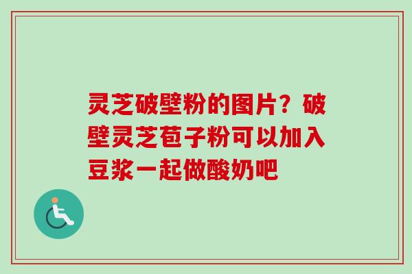 灵芝破壁粉的图片?破壁灵芝苞子粉可以加入豆浆一起做酸奶吧 灵芝破壁粉的图片?破壁灵芝苞子粉可以加入豆浆一起做酸奶吧
