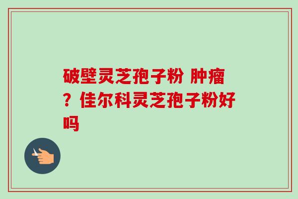 破壁灵芝孢子粉 ?佳尔科灵芝孢子粉好吗 破壁灵芝孢子粉 ?佳尔科灵芝孢子粉好吗