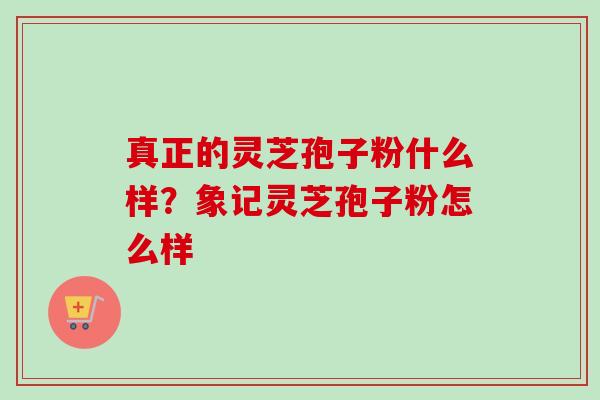 真正的灵芝孢子粉什么样?象记灵芝孢子粉怎么样 真正的灵芝孢子粉什么样?象记灵芝孢子粉怎么样