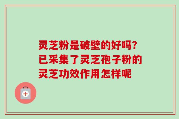 灵芝粉是破壁的好吗？已采集了灵芝孢子粉的灵芝功效作用怎样呢