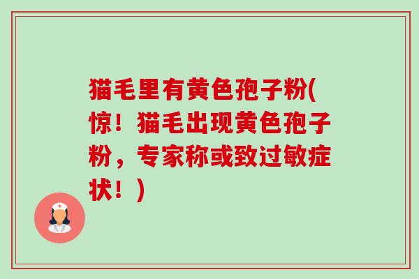 猫毛里有黄色孢子粉(惊!猫毛出现黄色孢子粉,专家称或致症状!) 猫毛里有黄色孢子粉(惊!猫毛出现黄色孢子粉,专家称或致症状!)