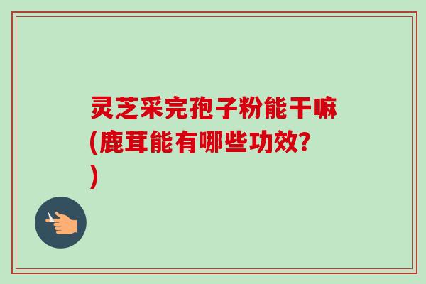 灵芝采完孢子粉能干嘛(鹿茸能有哪些功效？)
