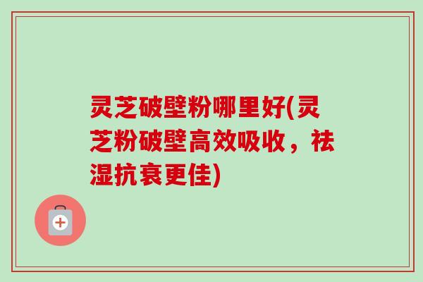 灵芝破壁粉哪里好(灵芝粉破壁高效吸收,祛湿抗衰更佳) 灵芝破壁粉哪里好(灵芝粉破壁高效吸收,祛湿抗衰更佳)