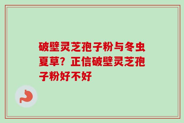 破壁灵芝孢子粉与冬虫夏草?正信破壁灵芝孢子粉好不好 破壁灵芝孢子粉与冬虫夏草?正信破壁灵芝孢子粉好不好