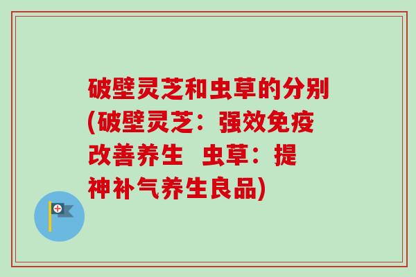 破壁灵芝和虫草的分别(破壁灵芝：强效免疫改善养生  虫草：提神养生良品)