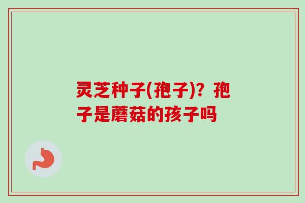 灵芝种子(孢子)?孢子是蘑菇的孩子吗 灵芝种子(孢子)?孢子是蘑菇的孩子吗