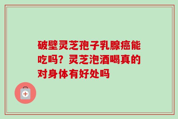 破壁灵芝孢子乳腺能吃吗?灵芝泡酒喝真的对身体有好处吗 破壁灵芝孢子乳腺能吃吗?灵芝泡酒喝真的对身体有好处吗