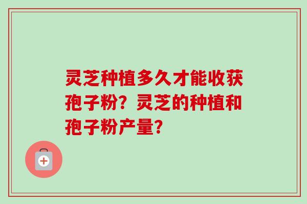 灵芝种植多久才能收获孢子粉?灵芝的种植和孢子粉产量? 灵芝种植多久才能收获孢子粉?灵芝的种植和孢子粉产量?