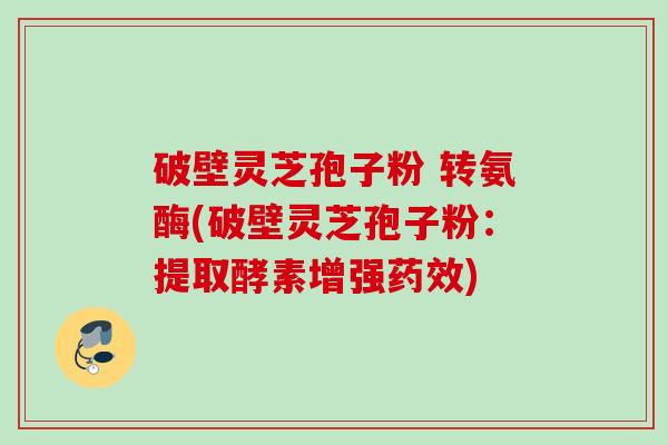 破壁灵芝孢子粉 转氨酶(破壁灵芝孢子粉:提取酵素增强) 破壁灵芝孢子粉 转氨酶(破壁灵芝孢子粉:提取酵素增强)