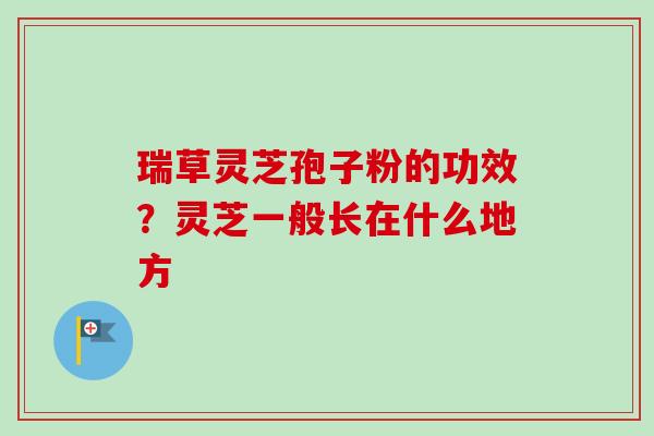 瑞草灵芝孢子粉的功效?灵芝一般长在什么地方 瑞草灵芝孢子粉的功效?灵芝一般长在什么地方