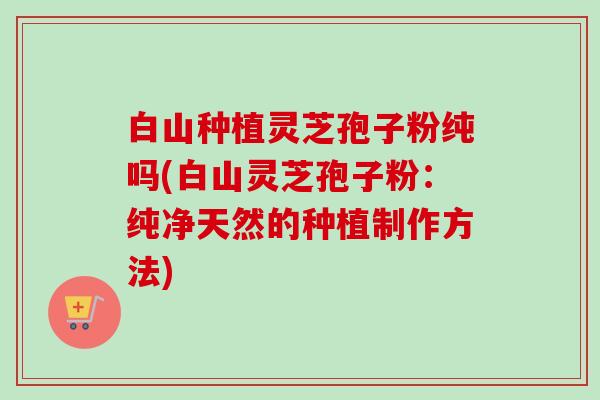 白山种植灵芝孢子粉纯吗(白山灵芝孢子粉:纯净天然的种植制作方法) 白山种植灵芝孢子粉纯吗(白山灵芝孢子粉:纯净天然的种植制作方法)