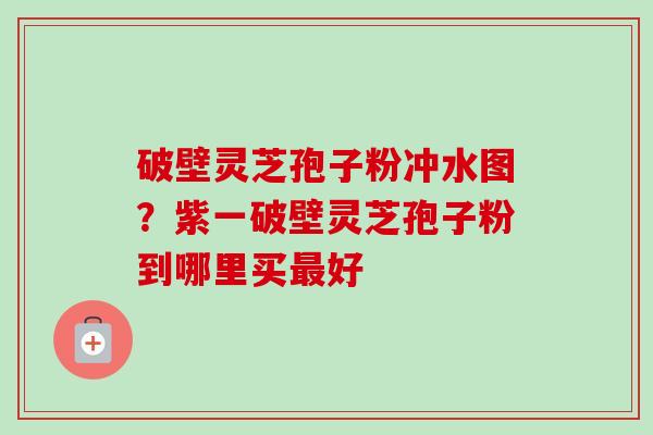 破壁灵芝孢子粉冲水图?紫一破壁灵芝孢子粉到哪里买好 破壁灵芝孢子粉冲水图?紫一破壁灵芝孢子粉到哪里买好