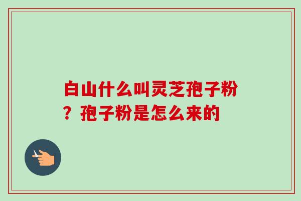 白山什么叫灵芝孢子粉?孢子粉是怎么来的 白山什么叫灵芝孢子粉?孢子粉是怎么来的