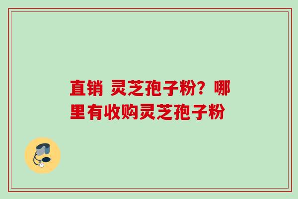 直销 灵芝孢子粉?哪里有收购灵芝孢子粉 直销 灵芝孢子粉?哪里有收购灵芝孢子粉