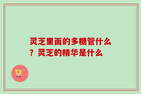 灵芝里面的多糖管什么?灵芝的精华是什么 灵芝里面的多糖管什么?灵芝的精华是什么