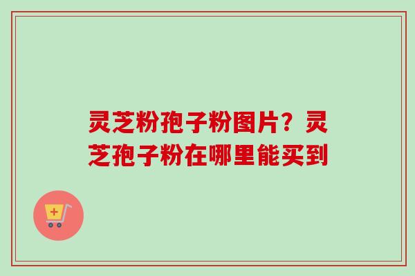 灵芝粉孢子粉图片?灵芝孢子粉在哪里能买到 灵芝粉孢子粉图片?灵芝孢子粉在哪里能买到