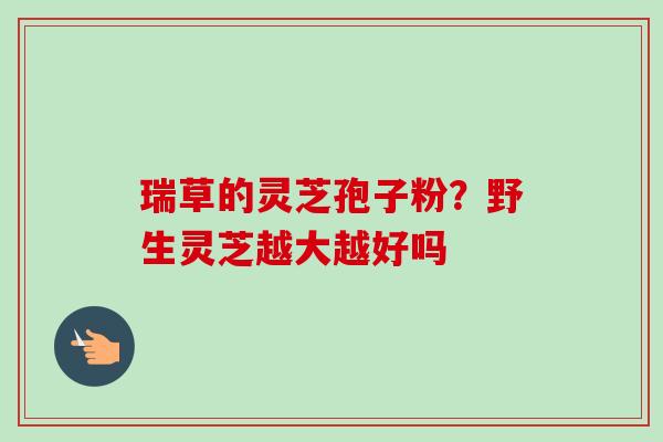 瑞草的灵芝孢子粉?野生灵芝越大越好吗 瑞草的灵芝孢子粉?野生灵芝越大越好吗