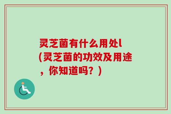 灵芝菌有什么用处l (灵芝菌的功效及用途,你知道吗?) 灵芝菌有什么用处l (灵芝菌的功效及用途,你知道吗?)