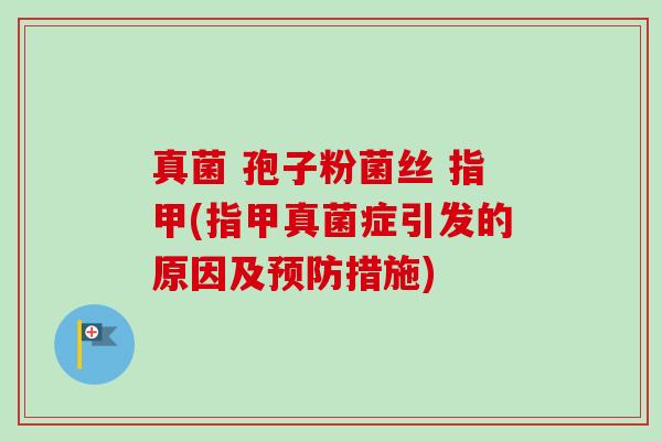 真菌 孢子粉菌丝 指甲(指甲真菌症引发的原因及措施) 真菌 孢子粉菌丝 指甲(指甲真菌症引发的原因及措施)