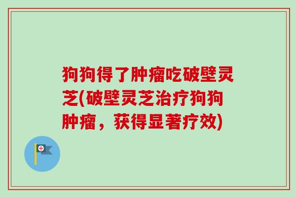 狗狗得了吃破壁灵芝(破壁灵芝狗狗,获得显著疗效) 狗狗得了吃破壁灵芝(破壁灵芝狗狗,获得显著疗效)