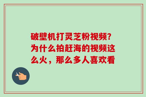 破壁机打灵芝粉视频?为什么拍赶海的视频这么火,那么多人喜欢看 破壁机打灵芝粉视频?为什么拍赶海的视频这么火,那么多人喜欢看