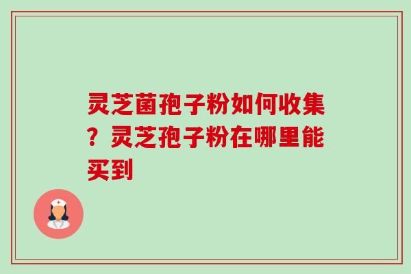 灵芝菌孢子粉如何收集？灵芝孢子粉在哪里能买到