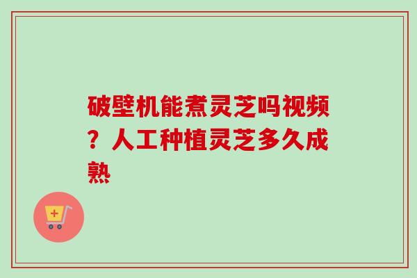 破壁机能煮灵芝吗视频？人工种植灵芝多久成熟