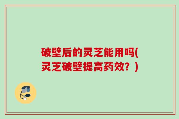 破壁后的灵芝能用吗(灵芝破壁提高？)