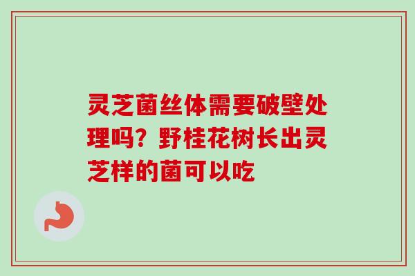 灵芝菌丝体需要破壁处理吗?野桂花树长出灵芝样的菌可以吃 灵芝菌丝体需要破壁处理吗?野桂花树长出灵芝样的菌可以吃
