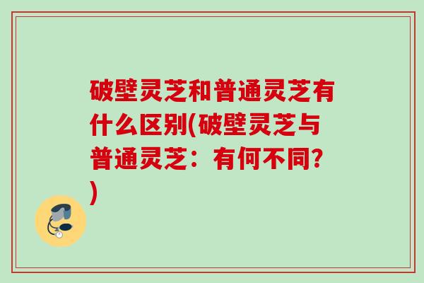 破壁灵芝和普通灵芝有什么区别(破壁灵芝与普通灵芝：有何不同？)